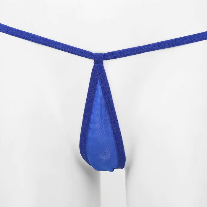 Anal EVEs SECRETS Transparent Bikini Set Erotic Mesh Underwear Sexy Female GStrings Slim Womens Brassiere