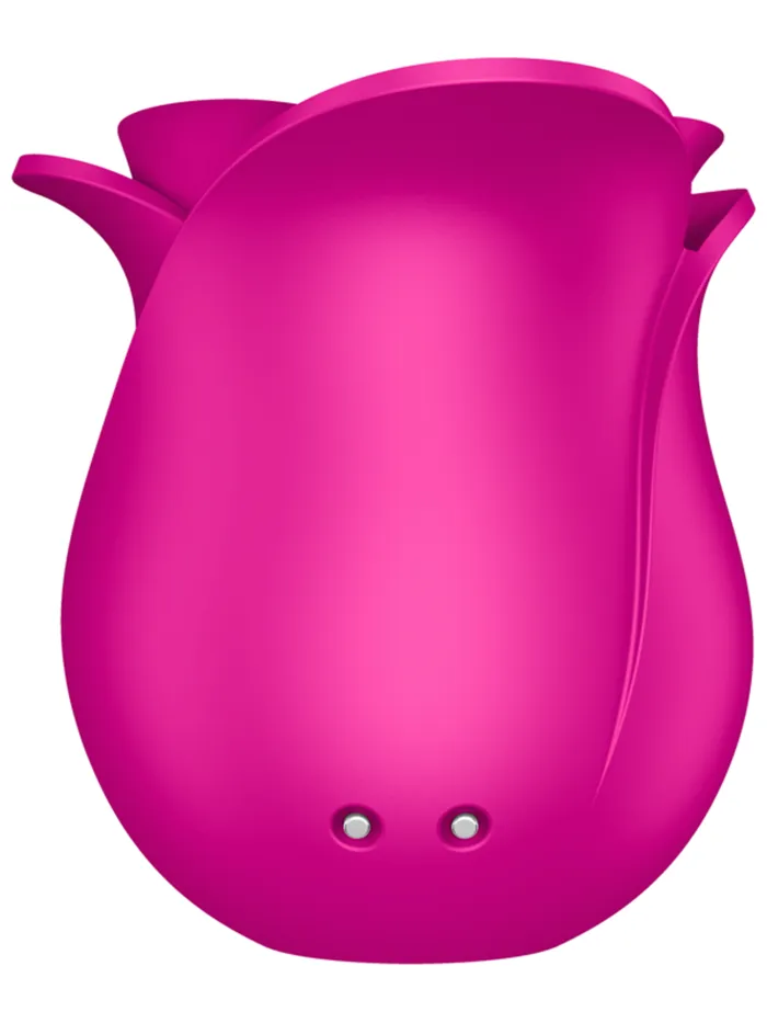 Windsor Wholesale Vibrators Satisfyer Pro 2 Modern Blossom Rechargeable Air Pulse Rose Stimulator
